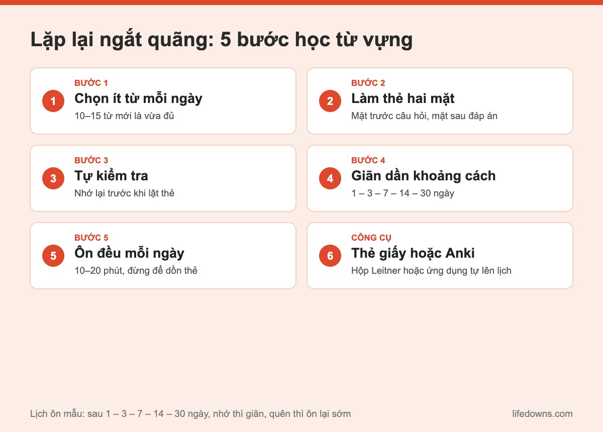 Lặp lại ngắt quãng: tóm tắt 5 bước học từ vựng nhớ lâu