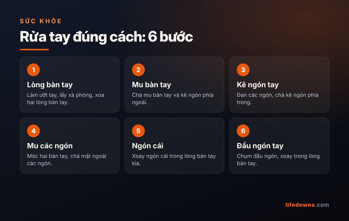 Rửa tay đúng cách: 6 bước