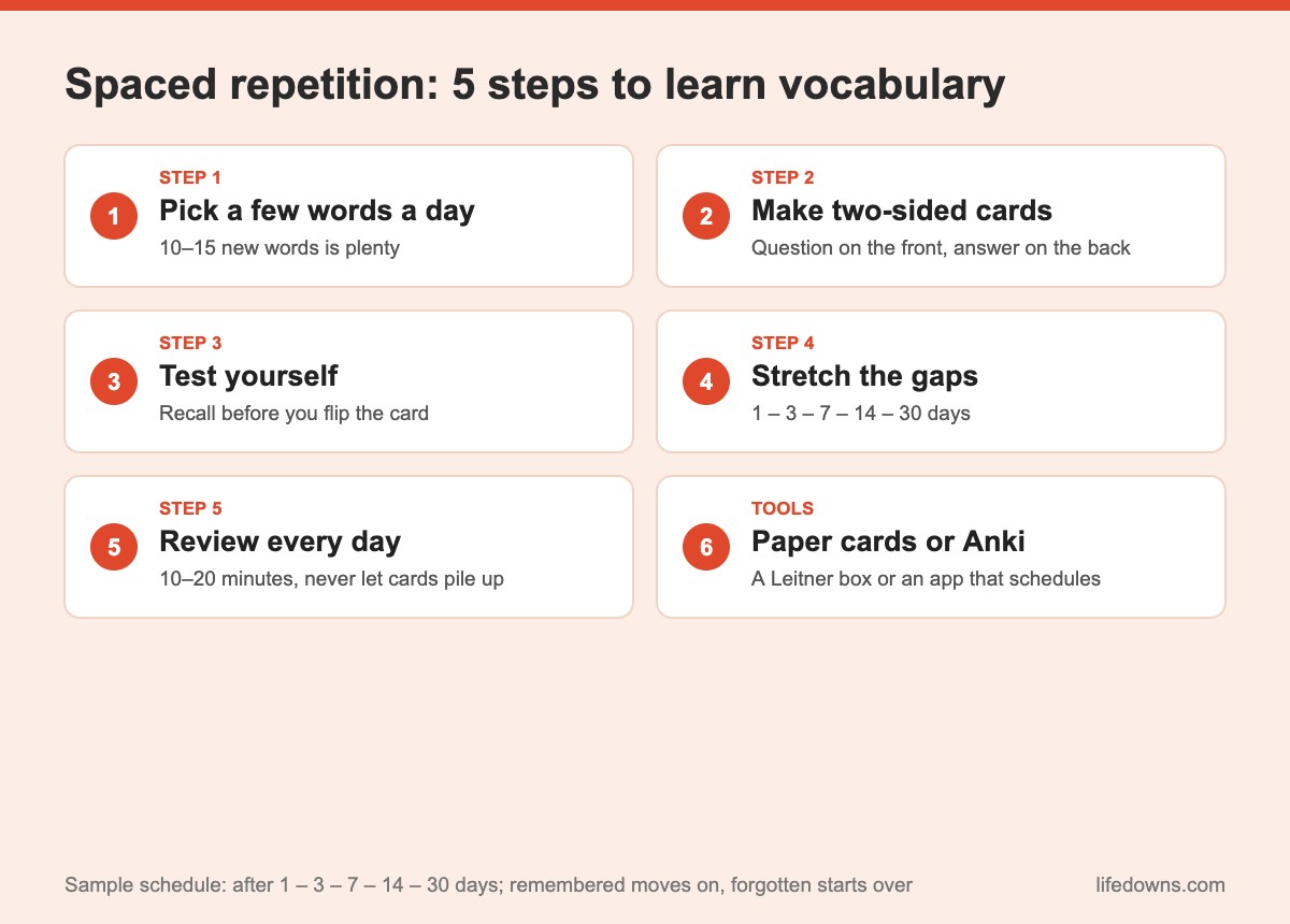 Spaced repetition: summary of 5 steps to learn vocabulary